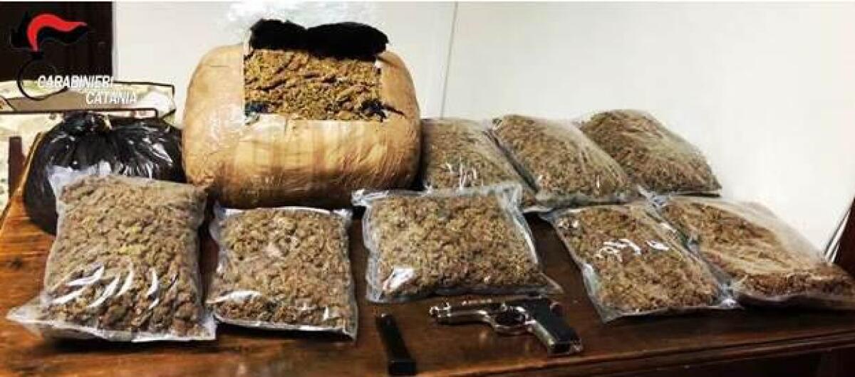 CATANIA: Madre e figlio occultavano in casa 13 chili di marijuana e una pistola, arrestati - 