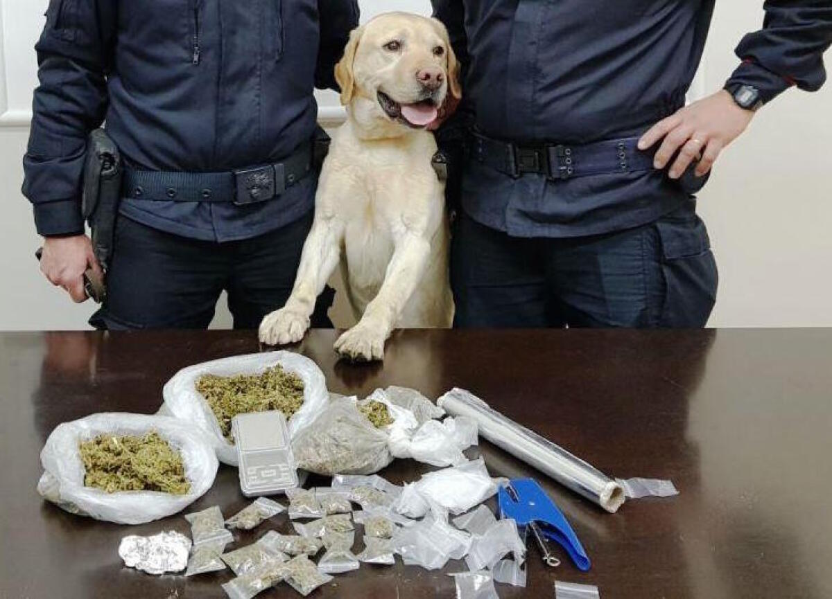 PATERNÓ: Sequestrata droga nascosta sotto il Castello Normanno - 