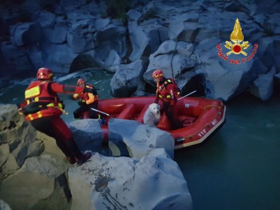 I Vigili del Fuoco di Messina salvano un Pastore Maremmano bloccato sulla sponda del fiume Alcantara - LE FOTO