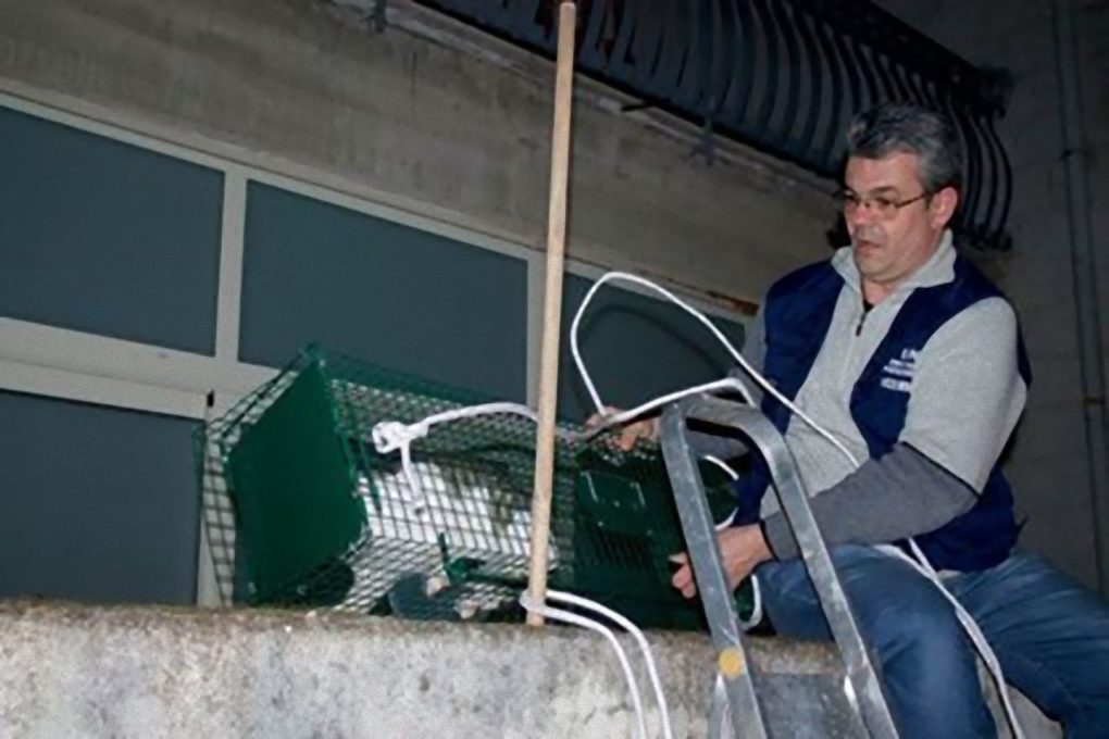 PATERNO': L'Enpa recupera un gatto in un pozzo luce