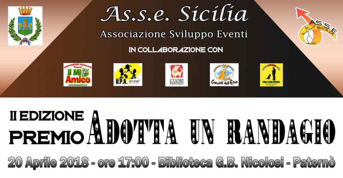 PATERNO': Venerdì II edizione del premio "Adotta un Randagio" - 