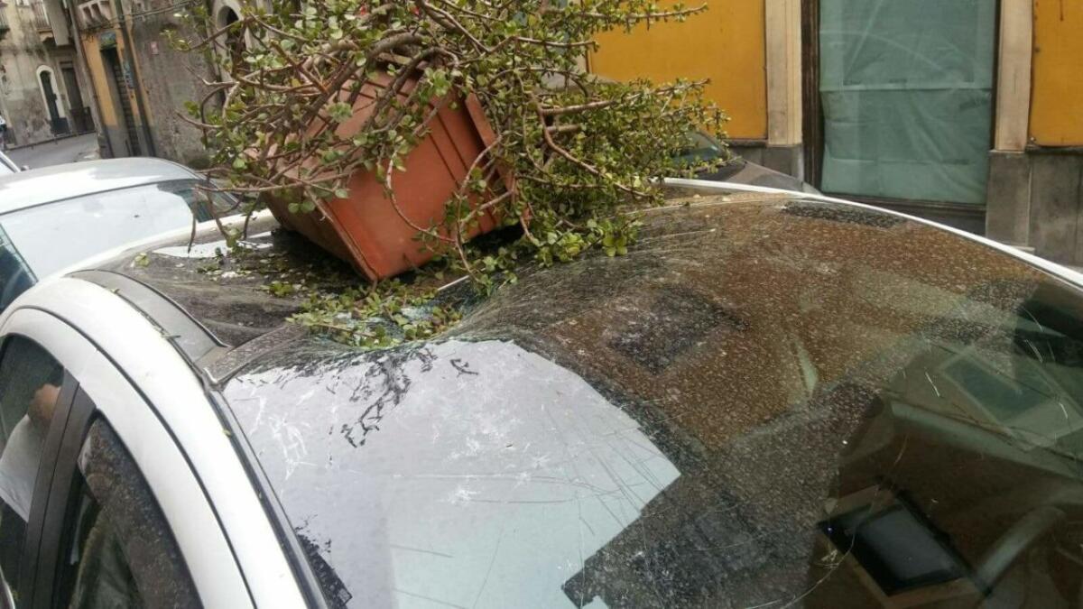 MALTEMPO: FORTISSIMO VENTO VIGILI DEL FUOCO IN AZIONE - 