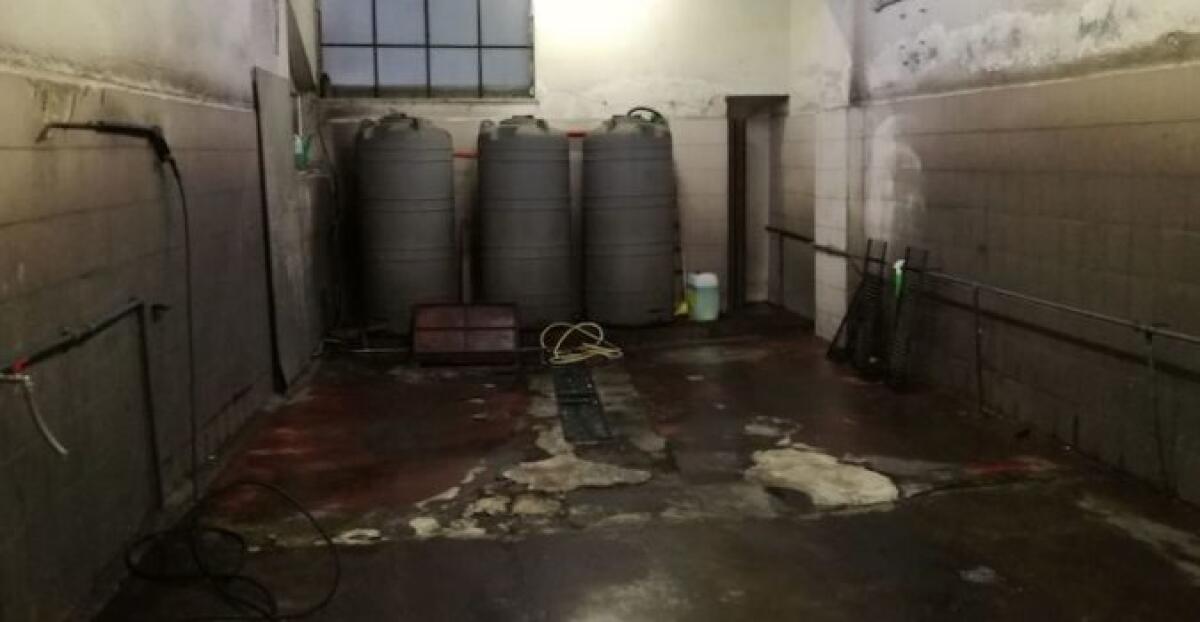 CATANIA: Sfruttavano bambino in autolavaggio e versavano liquami nel sottosuolo: indagate due persone - 