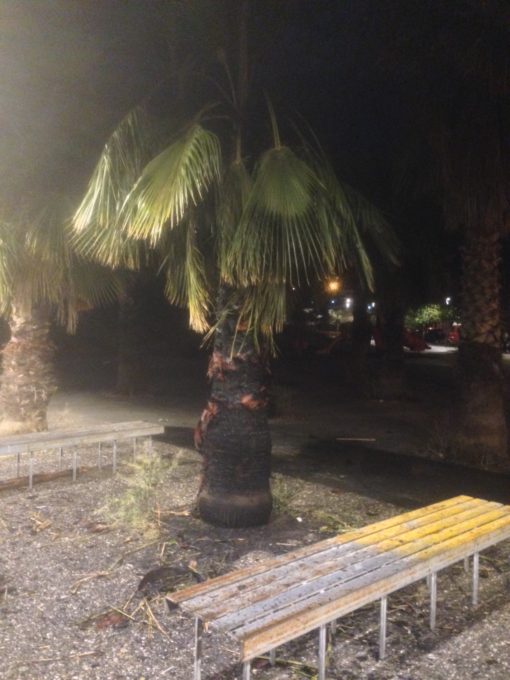 PATERNO': VANDALI IN AZIONE IN PIAZZA PUGLISI - FOTO