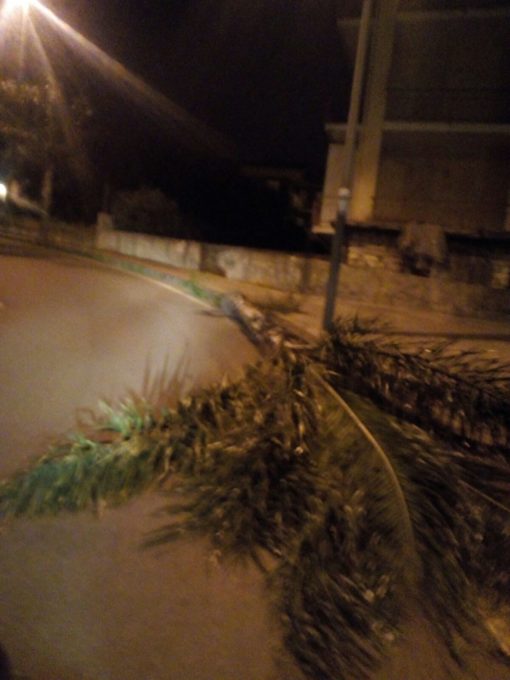 PATERNO': Tragedia sfiorata in via Dalmazia - FOTO