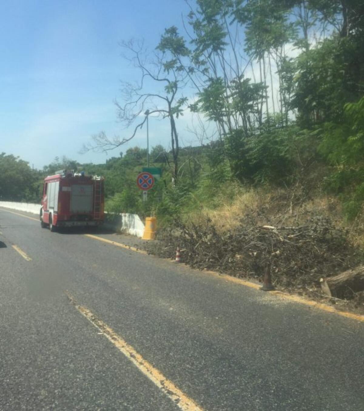 Albero cade sulla A18: Traffico bloccato tra Fiumefreddo e Giarre - 