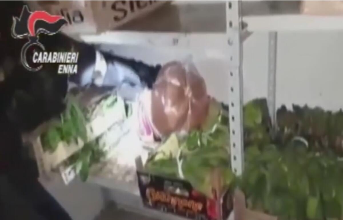 TROINA: Blitz dei Nas dei carabinieri e del Nil in una struttura ricettiva per bisognosi, trovati farmaci scaduti - 