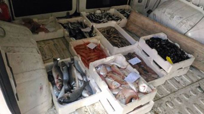 CATANIA: Sequestrati 200 kg di pesce al viale Mario Rapisardi - LE FOTO