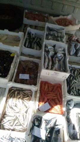 CATANIA: Sequestrati 200 kg di pesce al viale Mario Rapisardi - LE FOTO