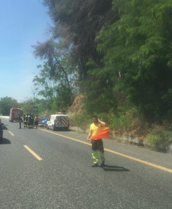 Albero cade sulla A18: Traffico bloccato tra Fiumefreddo e Giarre