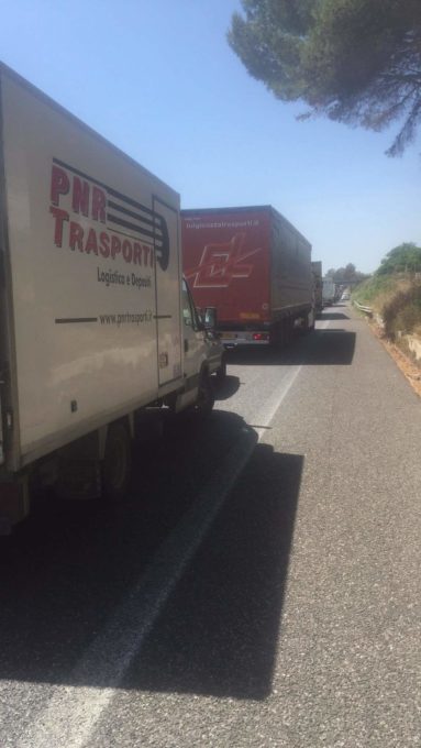 Albero cade sulla A18: Traffico bloccato tra Fiumefreddo e Giarre