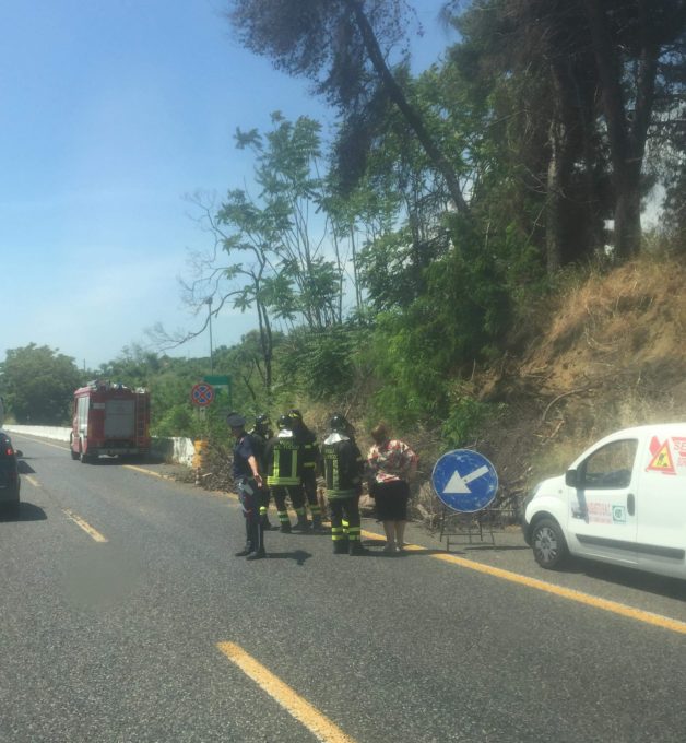 Albero cade sulla A18: Traffico bloccato tra Fiumefreddo e Giarre