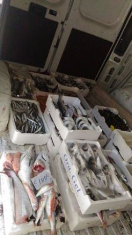CATANIA: Sequestrati 200 kg di pesce al viale Mario Rapisardi - LE FOTO