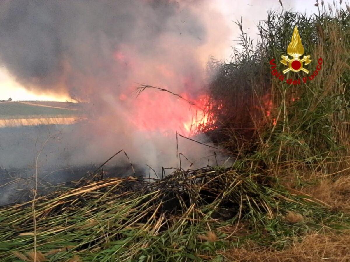 PATERNÒ: VASTO INCENDIO IN UN CANNETO  – LE FOTO - 