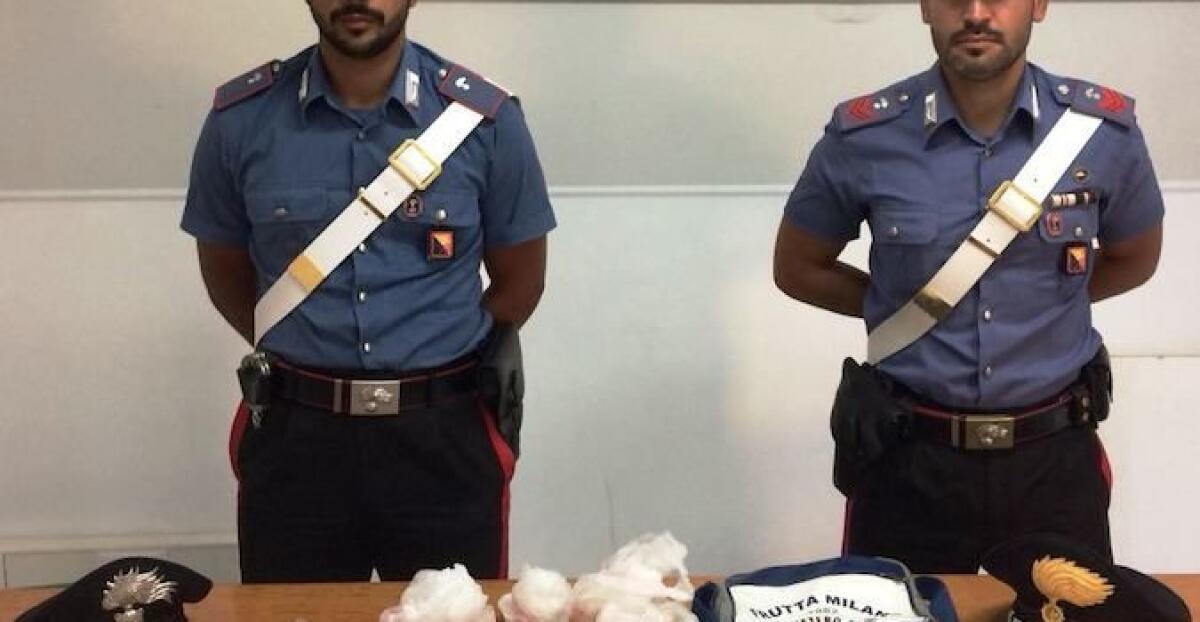 PALAGONIA: Cuccia del cane utilizzata come nascondiglio per la droga, minorenne in manette - 