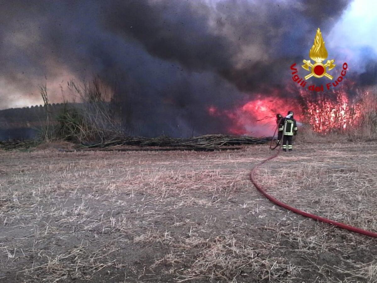 PATERNÒ: INCENDIO IN UN CANNETO: MINACCIATI OVILE E AZIENDA AGRICOLA - 