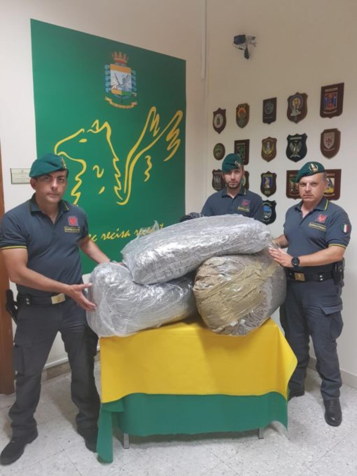 Sequestrati 50 chili di marijuana al casello di San Gregorio - 