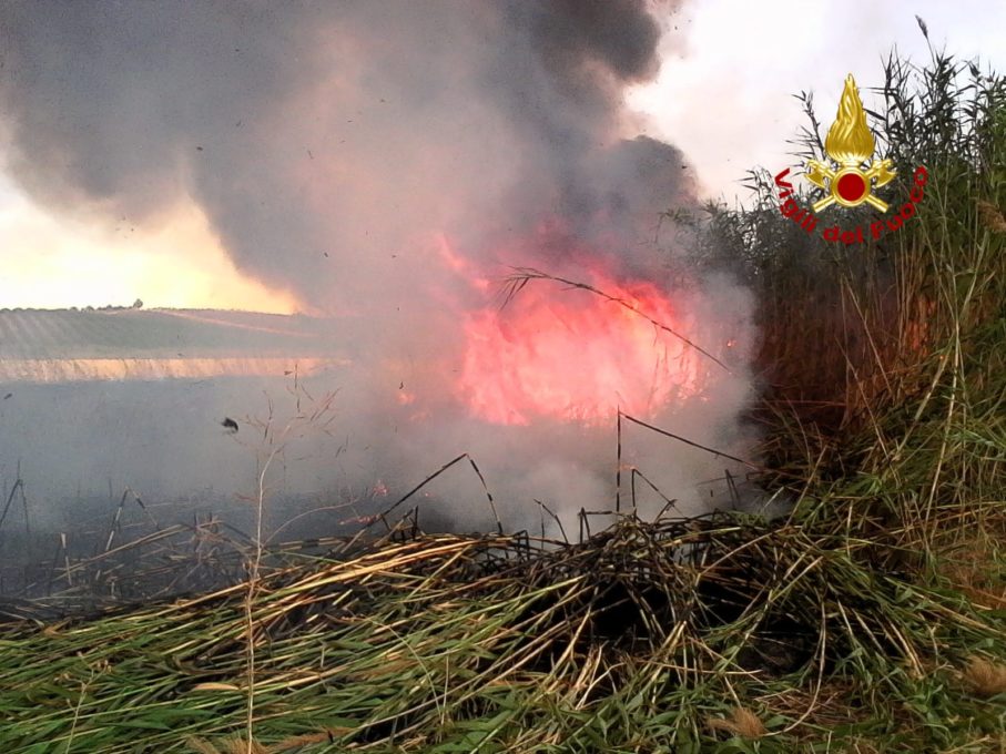 PATERNÒ: INCENDIO IN UN CANNETO: MINACCIATI OVILE E AZIENDA AGRICOLA