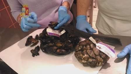 CATANIA: Controlli sanitari in un ipermercato: sequestrate cozze e altri alimenti in cattivo stato di conservazione