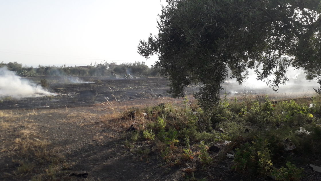 PATERNO' ANCORA INCENDI IN CENTRO E IN PERIFERIA: LE FOTO