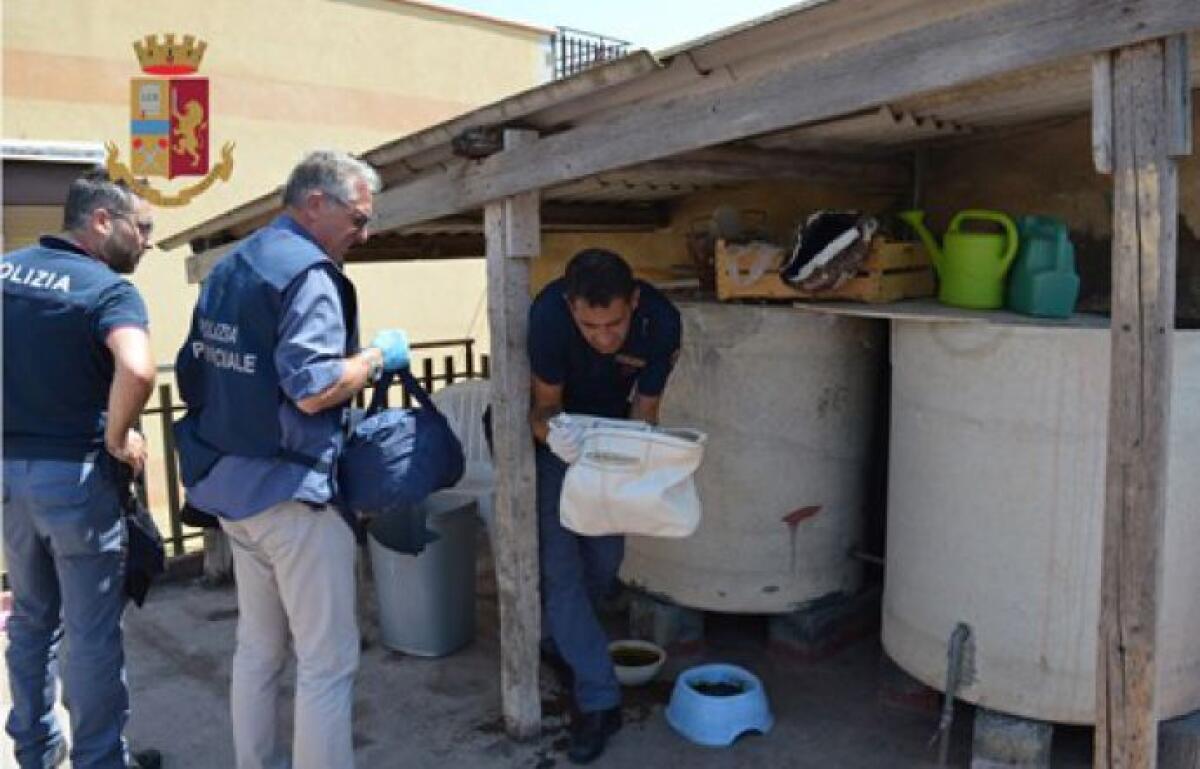 CATANIA: Controlli in un lido a Ognina, indagato titolare - 