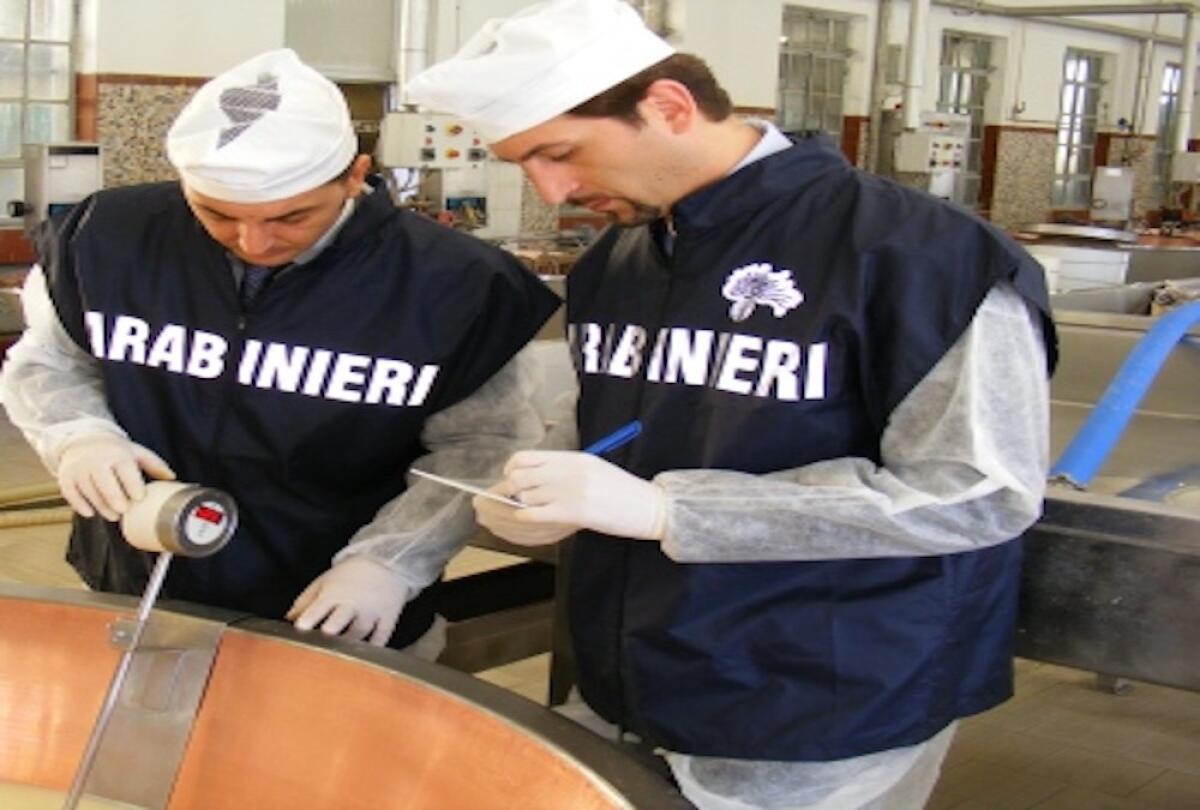 NOVARA DI SICILIA: SEQUESTRATI PRODOTTI CASEARI E SOSPESA ATTIVITÀ IMPRENDITORIALE DAI NAS - 
