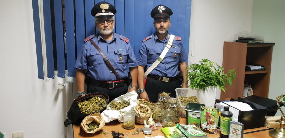 CATANIA: Aveva creato una serra in casa. Arrestato spacciatore. - 