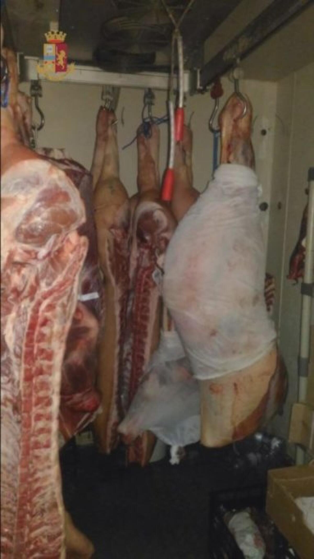 SAN GIOVANNI LA PUNTA: SCARSO IGIENE E LAVORO NERO IN UN MINIMARKET - LE FOTO - 