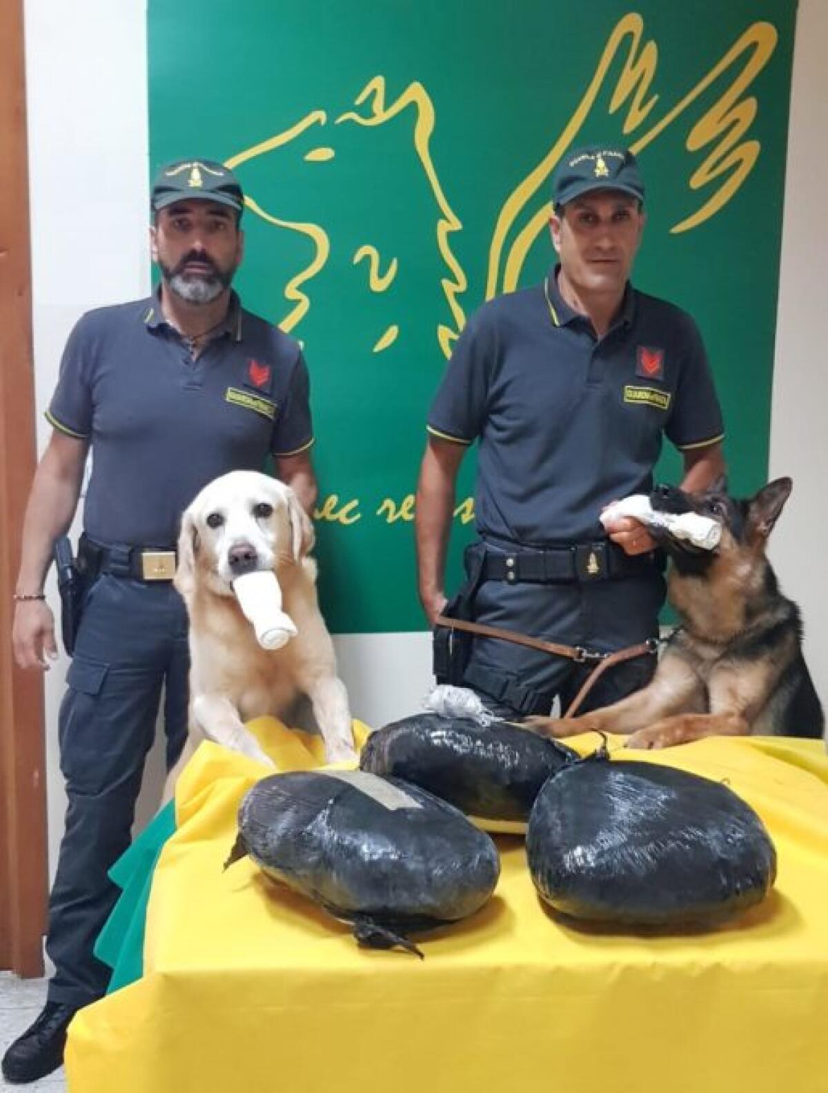 CATANIA: FERMATA DALLE FIAMME GIALLE NIGERIANA CON 7 CHILI DI “ERBA” - 