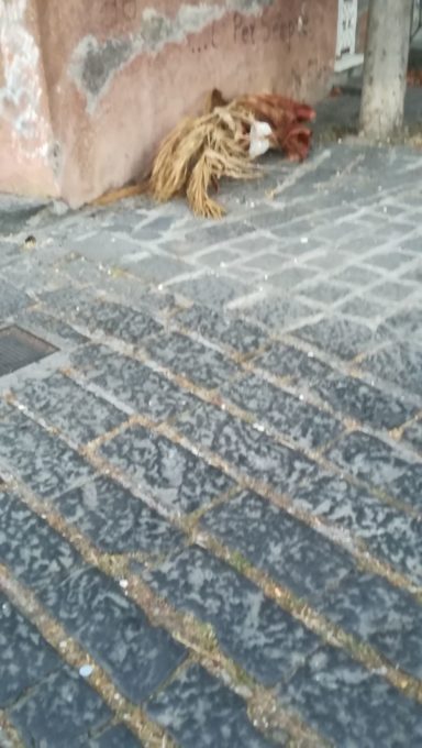 LA SEGNALAZIONE DI UN LETTORE: “IL DEGRADO DELLA COLLINA STORICA"