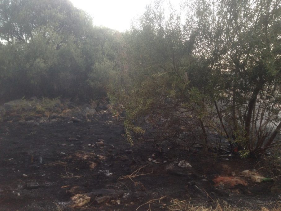 PATERNO': INTERVENTO DEI VIGILI DEL FUOCO PER UN INCENDIO DI STERPAGLIE