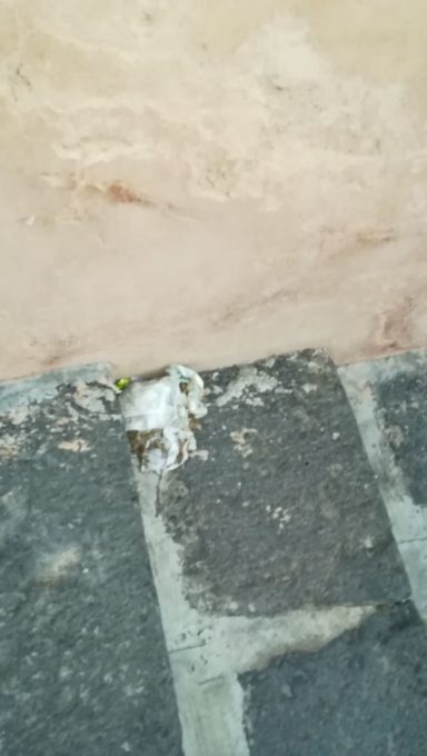 LA SEGNALAZIONE DI UN LETTORE: “IL DEGRADO DELLA COLLINA STORICA"