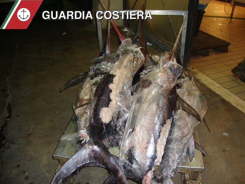 CATANIA: CONTROLLI DELLA GUARDIA COSTIERA, SEQUESTRATI PESCA SPADA NON IDONEO AL CONSUMO UMANO