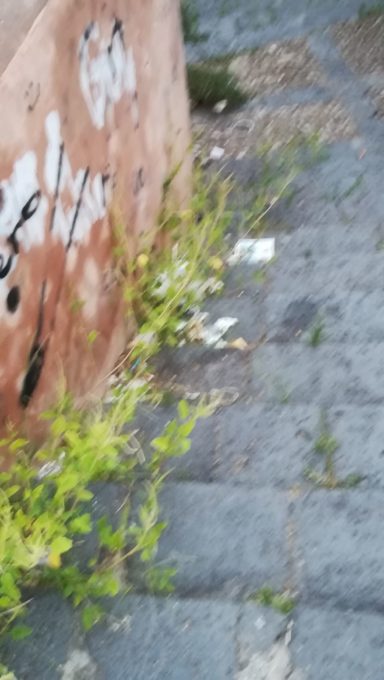 LA SEGNALAZIONE DI UN LETTORE: “IL DEGRADO DELLA COLLINA STORICA"