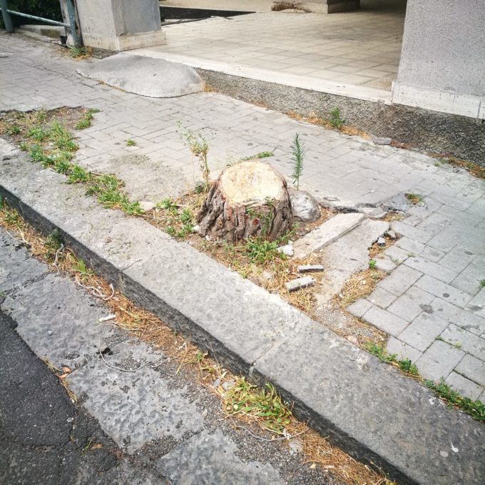 PATERNO': SFERZATA DAL VENTO, CADUTA ALBERI E DANNI - LE FOTO