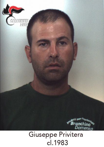 CENTURIPE: SCOVATA PIANTAGIONE DI CANNABIS, DUE CATANESI IN MANETTE