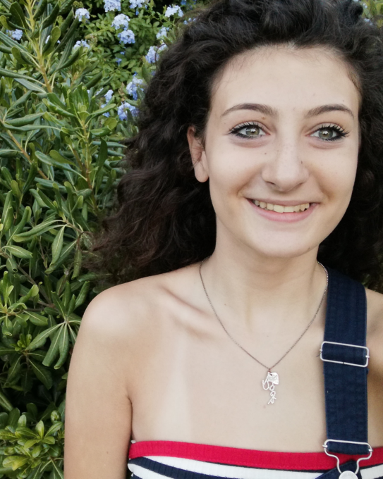   AGNESE CICCIA   F. De Sanctis 5^ AL