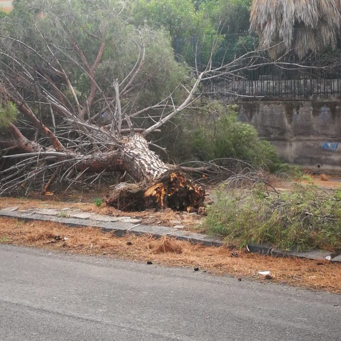 PATERNO': SFERZATA DAL VENTO, CADUTA ALBERI E DANNI - LE FOTO