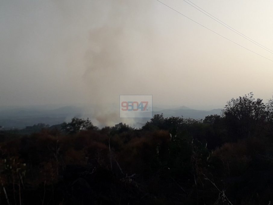 INCENDI A PATERNO' E MOTTA, ENORMI DANNI PER UN AZIENDA