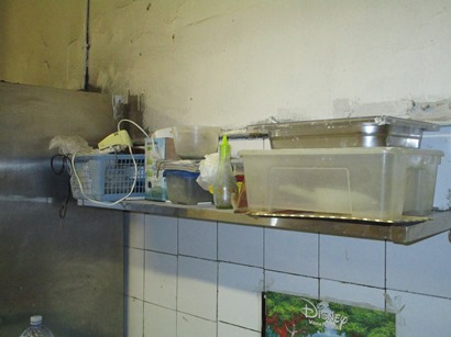 CATANIA: GRAVI VIOLAZIONI IGIENICHE IN UN PANIFICIO, ATTIVITÀ SOSPESA E TITOLARE SANZIONATO - LE FOTO