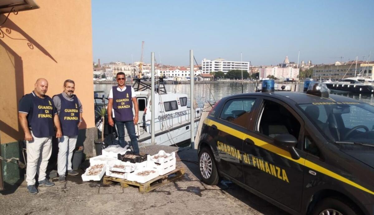 SEQUESTRATI OLTRE 1600 ARTICOLI CONTRAFFATTI E NON SICURI E DI 65 KG. DI PRODOTTO ITTICO. DENUNCIATO UN IMPRENDITORE CINESE E DUE ITALIANI. - 