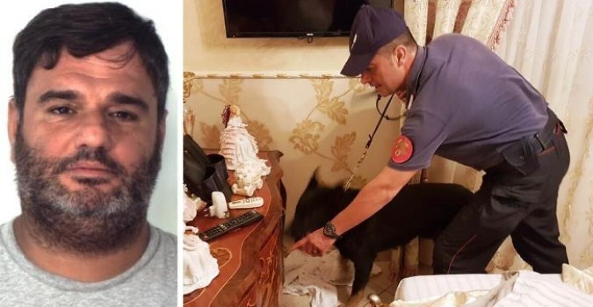 CATANIA: PREGIUDICATO CATTURATO A CASA DELLA SUOCERA - 