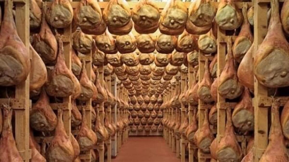 SEQUESTRATI 270MILA FALSI PROSCIUTTI SAN DANIELE: 103 INDAGATI - 