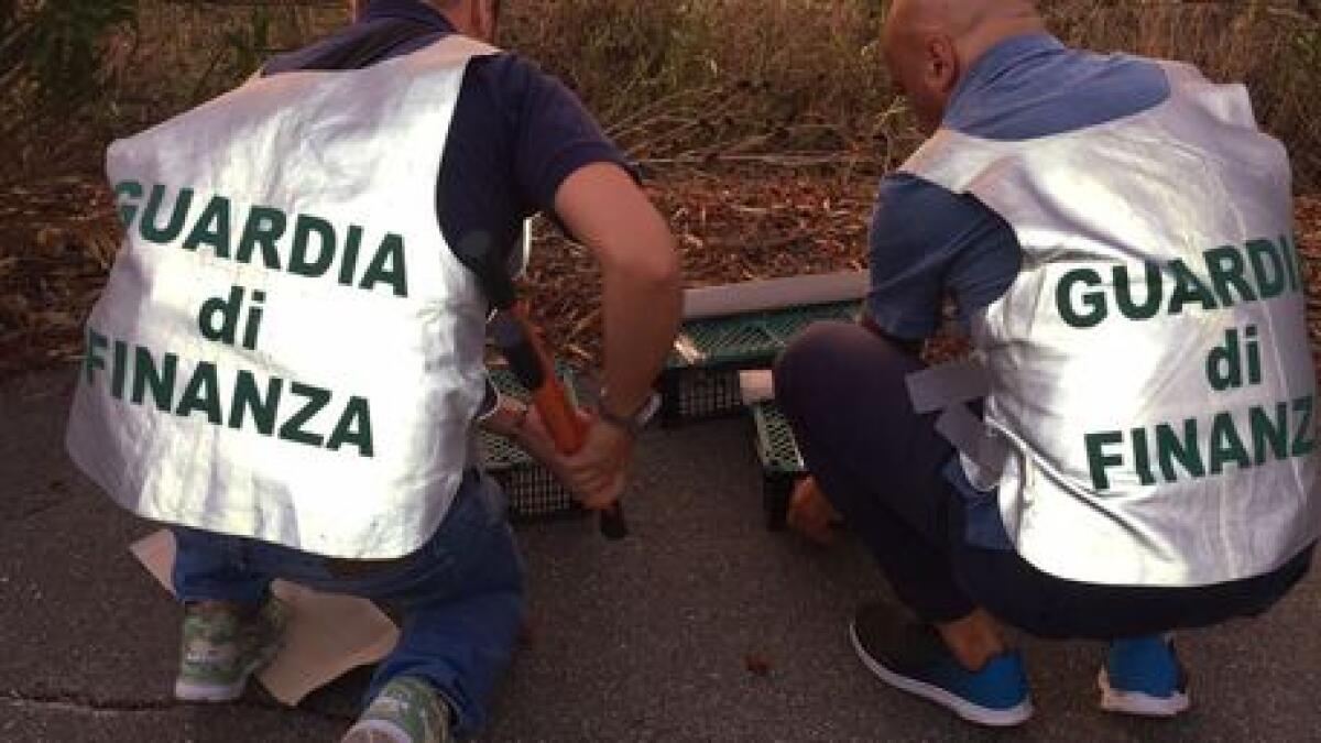 CATANIA: GDF SEQUESTRA 110 CARDELLINI - 