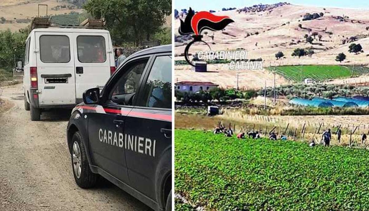 CAPORALATO TRA LE CAMPAGNE DI RANDAZZO E CALTAGIRONE, OTTO DENUNCE E MULTE PER 200 MILA EURO - 