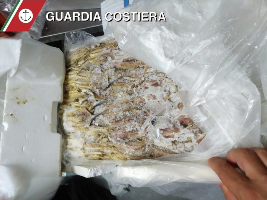 CATANIA: CONTROLLI DELLA GUARDIA COSTIERA, SEQUESTRATO PESCE NON MANGIABILE