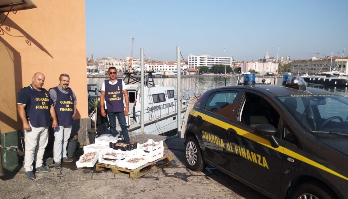 SEQUESTRATI OLTRE 1600 ARTICOLI CONTRAFFATTI E NON SICURI E DI 65 KG. DI PRODOTTO ITTICO. DENUNCIATO UN IMPRENDITORE CINESE E DUE ITALIANI.