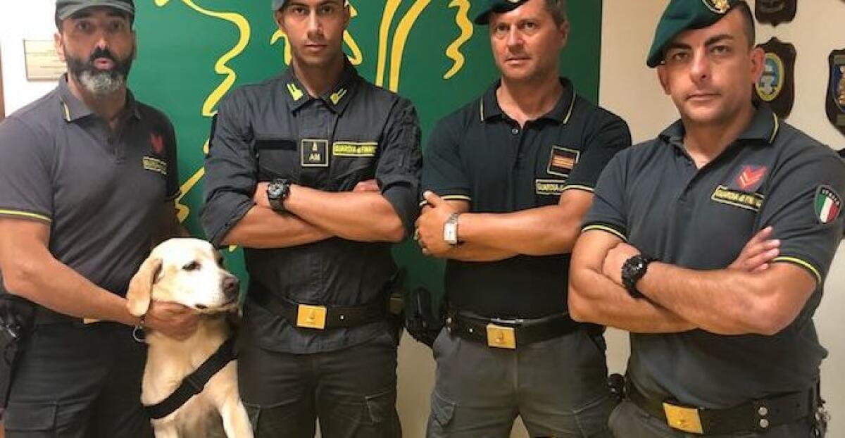 CATANIA, FERMATO CORRIERE A SAN GREGORIO: SULL’AUTO 130 GRAMMI DI COCAINA. ARRESTATO UN TUNISINO - 