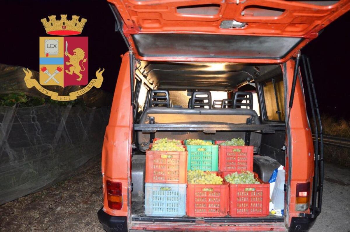 CALTANISSETTA: SORPRESI NELLA NOTTE TRA LE CAMPAGNE A RUBARE UVA, UNO DEI DUE PUNTA LA PISTOLA CONTRO GLI AGENTI - 