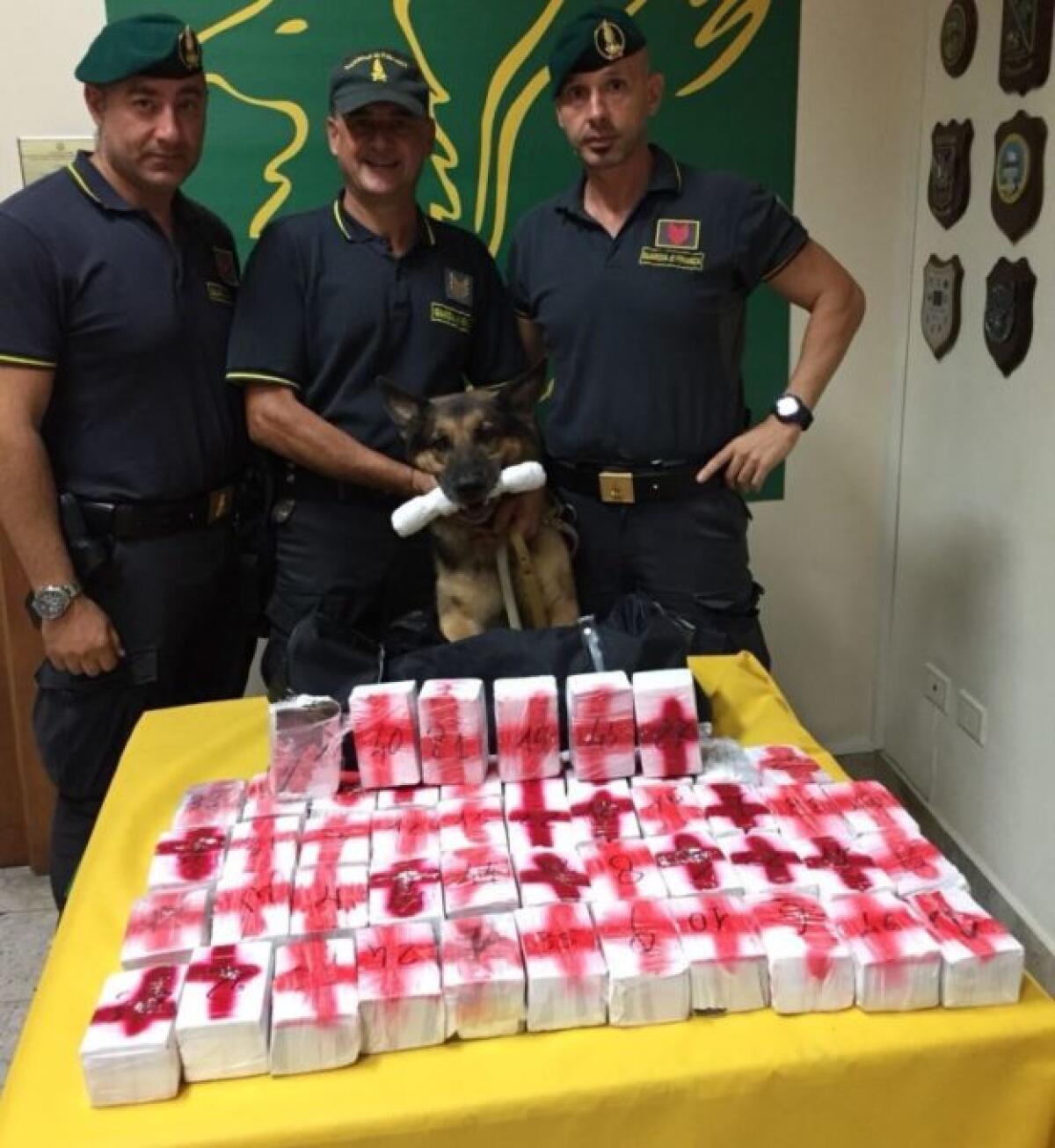 SUL TIR 25 KG DI HASHISH PRONTI PER L’USO, ARRESTATO CAMIONISTA AL CASELLO DI SAN GREGORIO - 